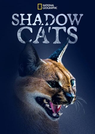 ดูหนังออนไลน์ Shadow Cats (2022) แมวแห่งเงา พากย์ไทย