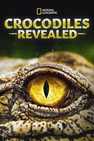 ดูหนังออนไลน์ Crocodiles Revealed (2022) SUB