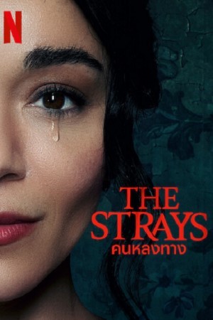 ดูหนังออนไลน์ฟรี The Strays (2023) คนหลงทาง พากย์ไทย