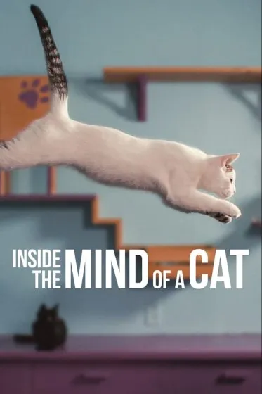 ดูหนังออนไลน์ Inside the Mind of a Cat คิดแบบแมวๆ (2022) พากย์ไทย