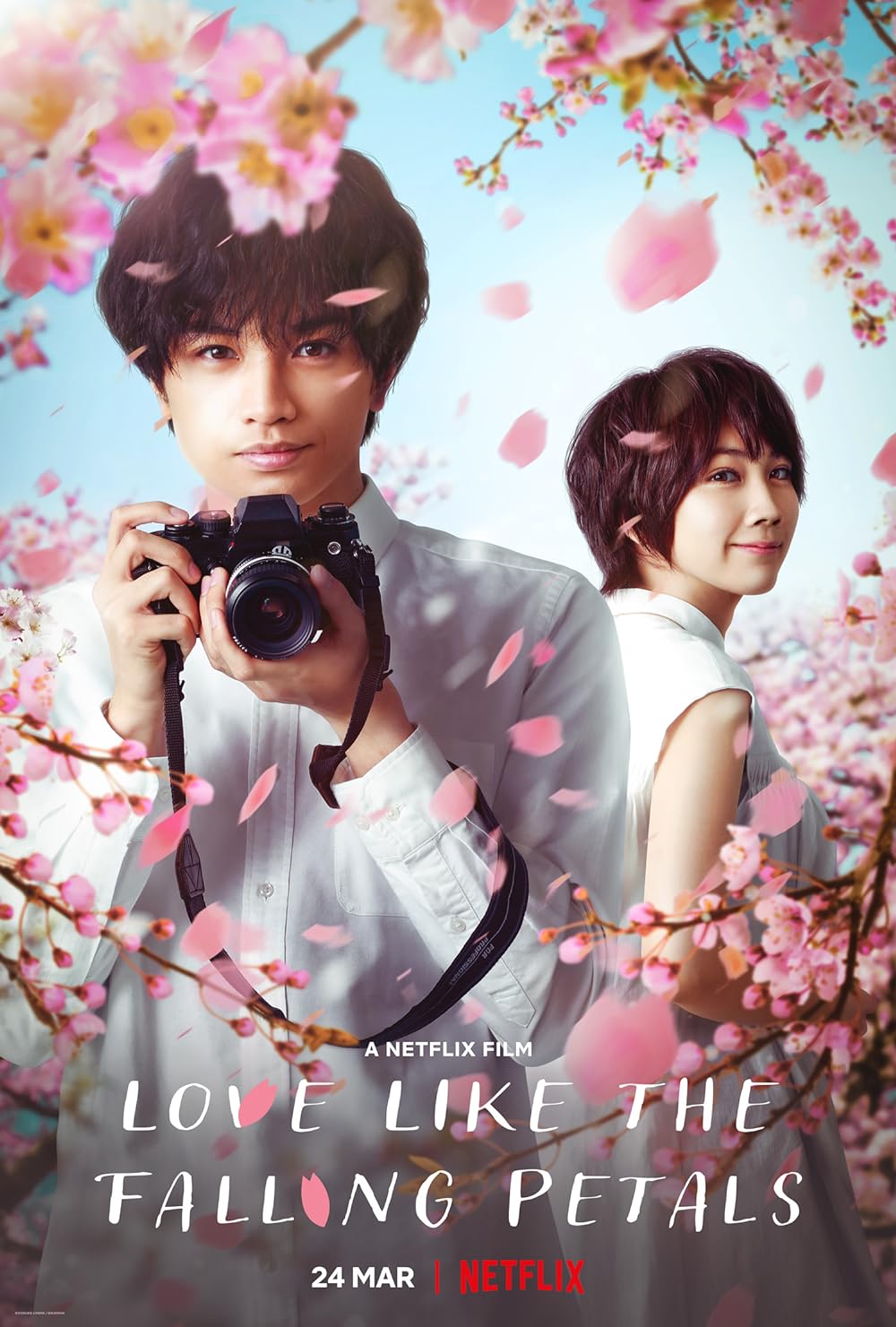 ดูหนังออนไลน์ฟรี Love Like the Falling Petals ใบไม้ผลิที่ไม่มีเธอเป็นซากุระ 2022 พากย์ไทย