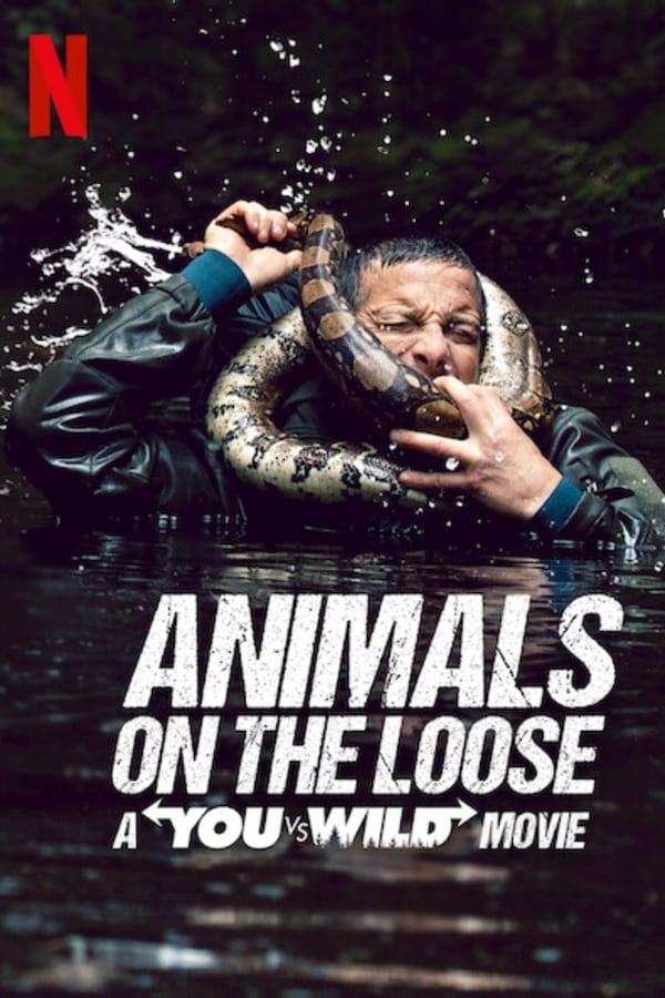 ดูหนังออนไลน์ Animals on the Loose A You vs Wild Movie ผจญภัยสุดขั้วกับแบร์ กริลส์ เดอะ มูฟวี่ 2021 พากย์ไทย