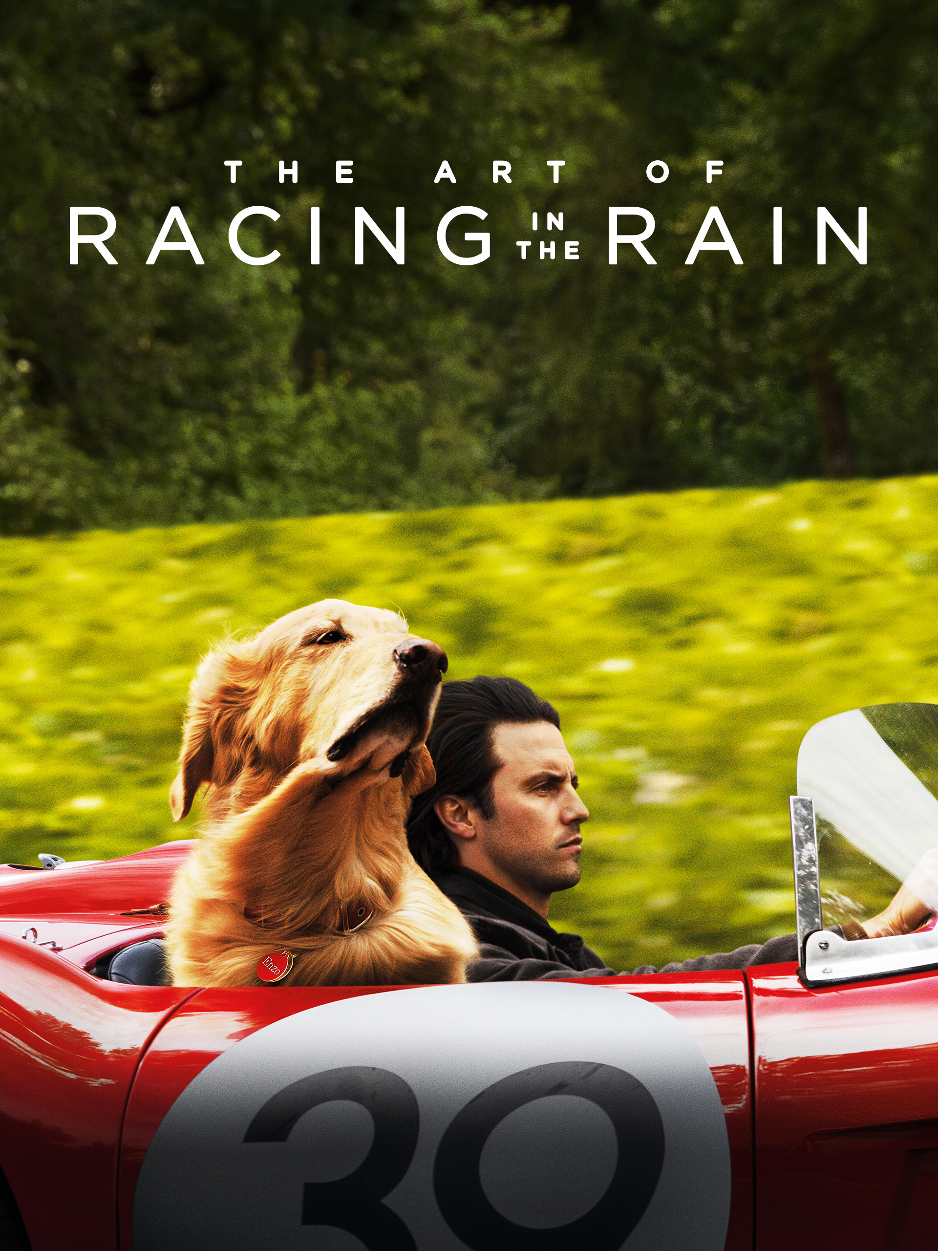 ดูหนังออนไลน์ฟรี The Art of Racing in the Rain อุ่นไอหัวใจตูบ 2019 พากย์ไทย